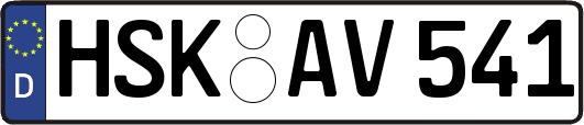 HSK-AV541