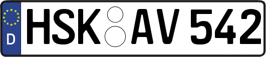 HSK-AV542
