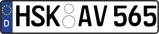 HSK-AV565