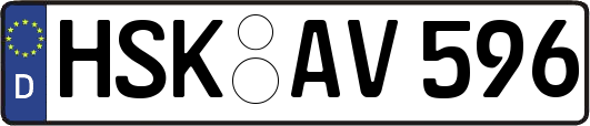 HSK-AV596