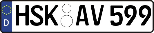 HSK-AV599