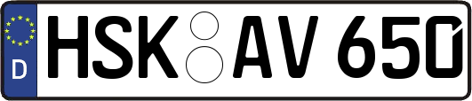 HSK-AV650