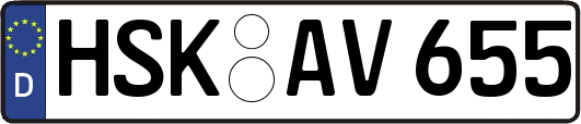 HSK-AV655