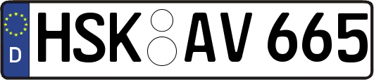 HSK-AV665
