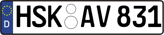 HSK-AV831