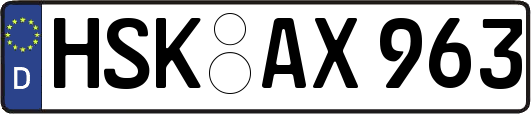 HSK-AX963