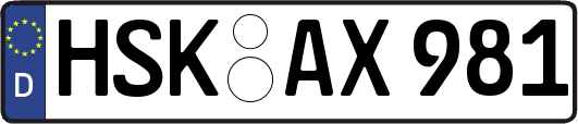 HSK-AX981