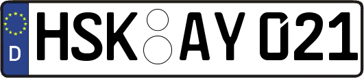 HSK-AY021