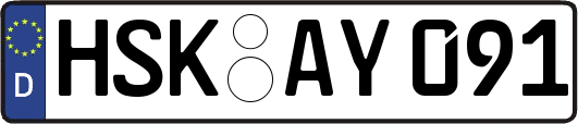 HSK-AY091