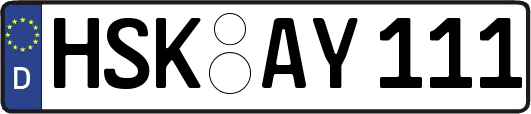 HSK-AY111