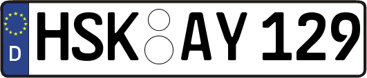 HSK-AY129