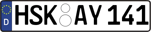 HSK-AY141