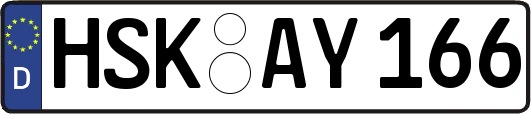 HSK-AY166