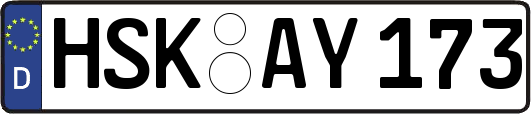 HSK-AY173