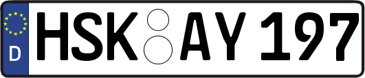 HSK-AY197