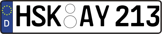 HSK-AY213