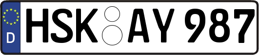 HSK-AY987