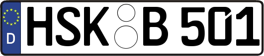 HSK-B501