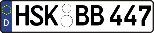 HSK-BB447
