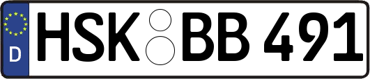 HSK-BB491