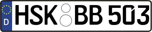 HSK-BB503