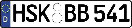 HSK-BB541