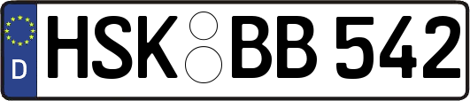 HSK-BB542