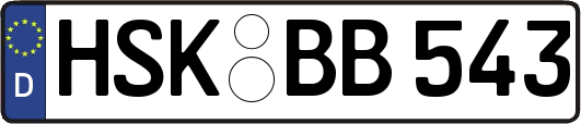 HSK-BB543