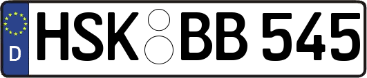 HSK-BB545