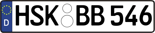 HSK-BB546