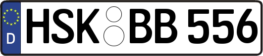 HSK-BB556
