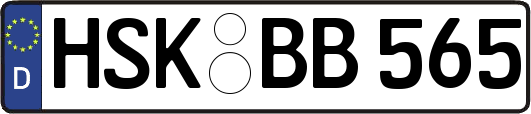 HSK-BB565