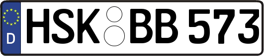 HSK-BB573