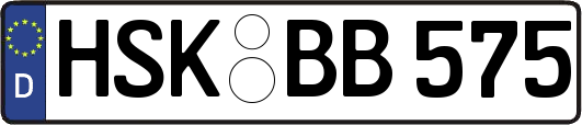 HSK-BB575