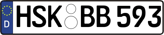 HSK-BB593