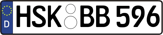 HSK-BB596