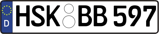 HSK-BB597