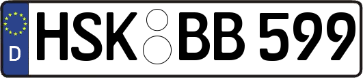 HSK-BB599
