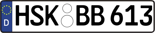 HSK-BB613