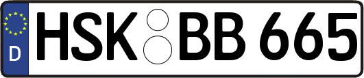 HSK-BB665