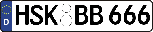 HSK-BB666