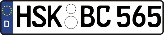HSK-BC565
