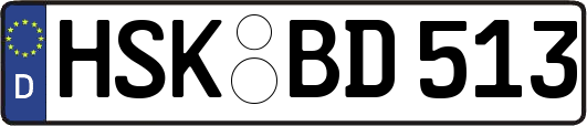 HSK-BD513