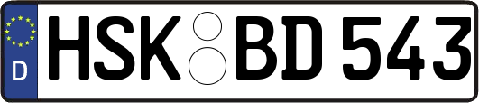 HSK-BD543