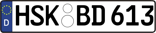 HSK-BD613