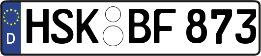 HSK-BF873