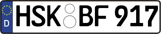 HSK-BF917