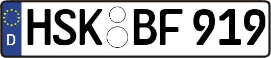 HSK-BF919