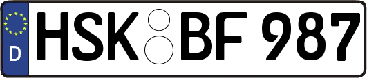 HSK-BF987