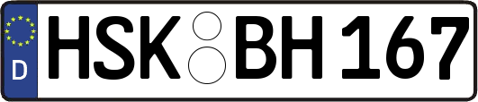HSK-BH167